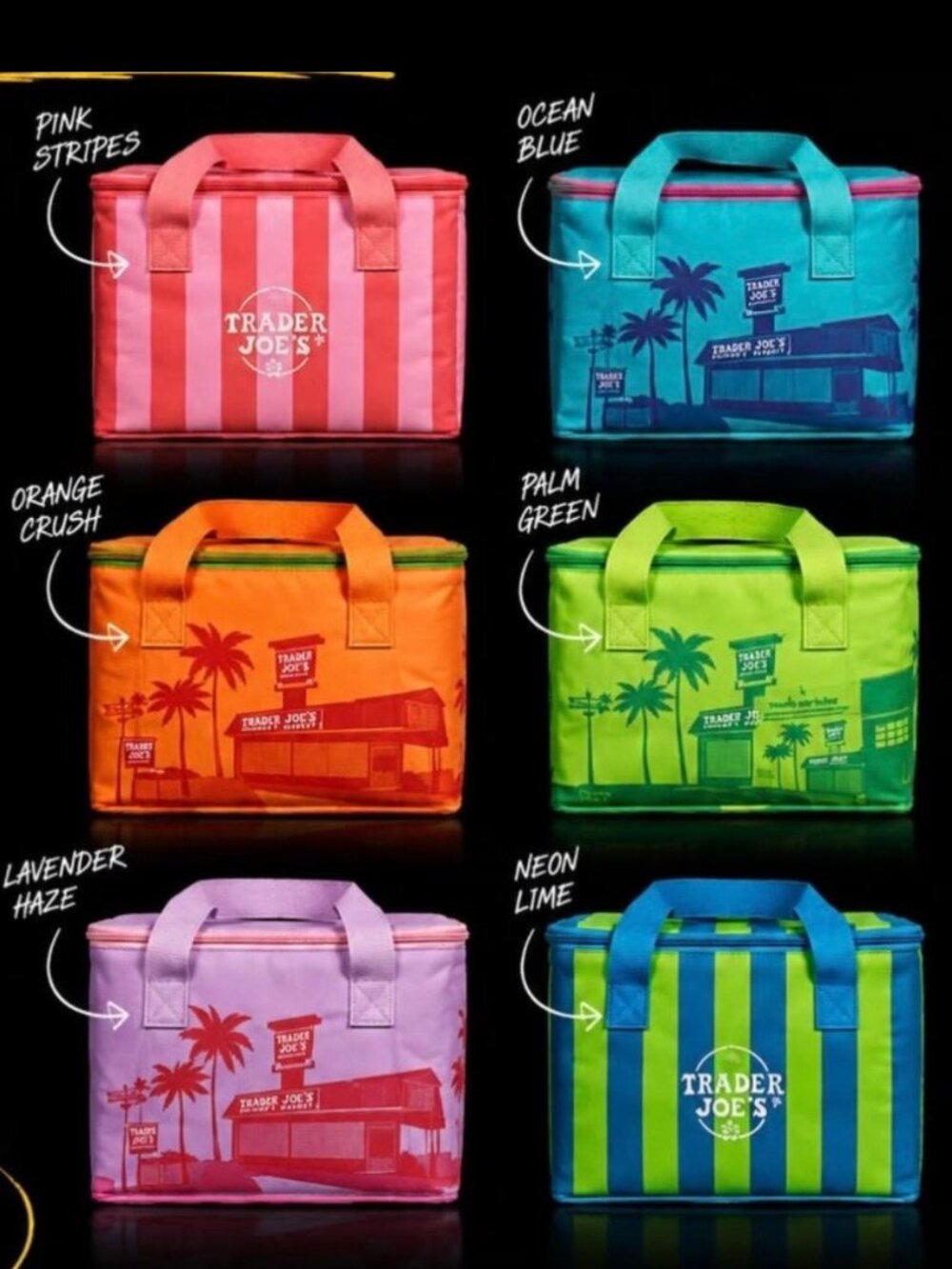 Trader Joe's Mini Insulated Tote Set of 6 NWT 2026 Solid Striped Mini Coolers